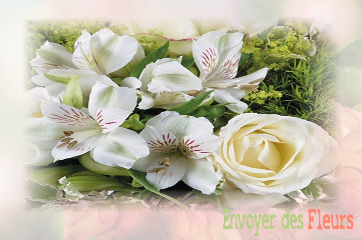 envoyer des fleurs à à BERCHERES-LES-PIERRES