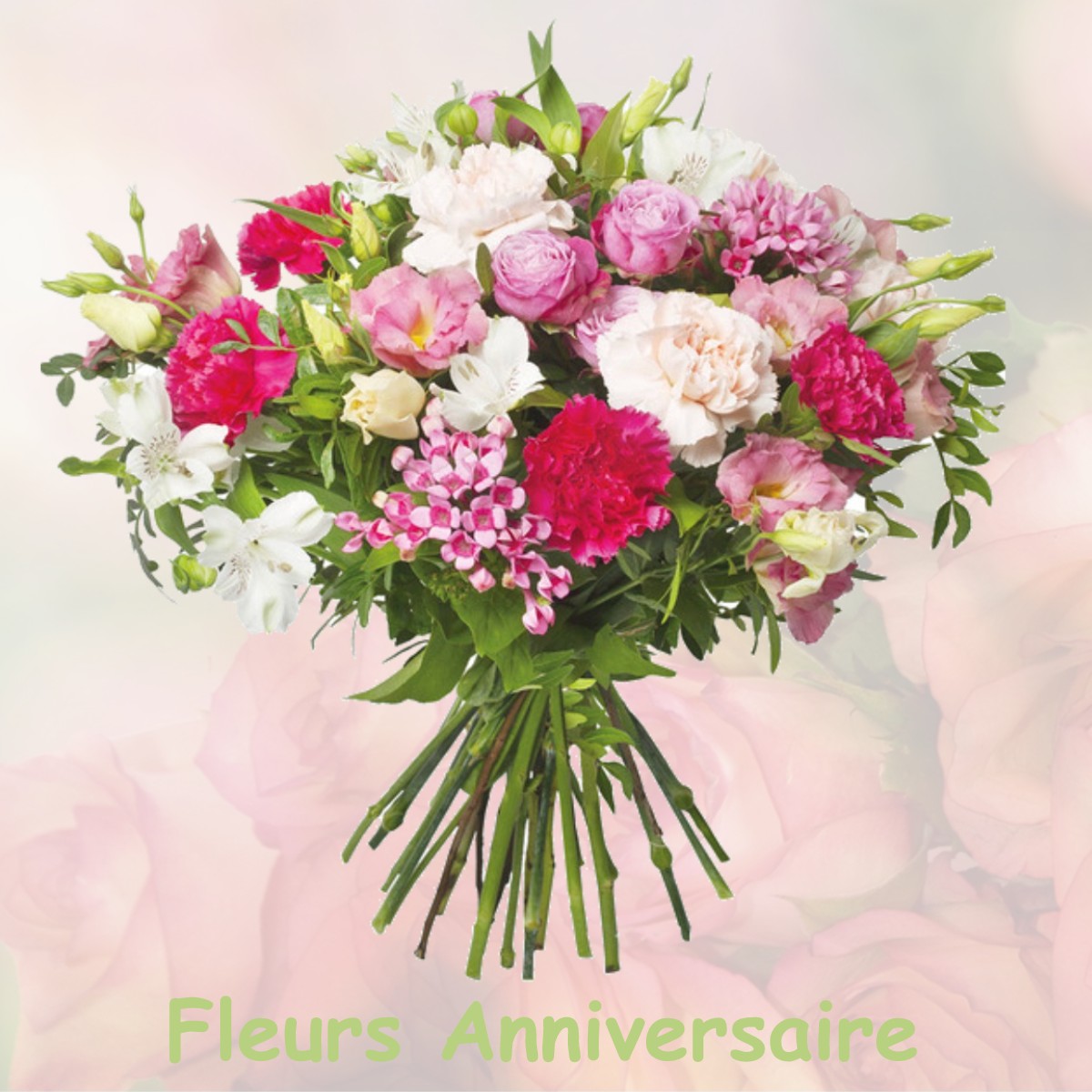 fleurs anniversaire BERCHERES-LES-PIERRES